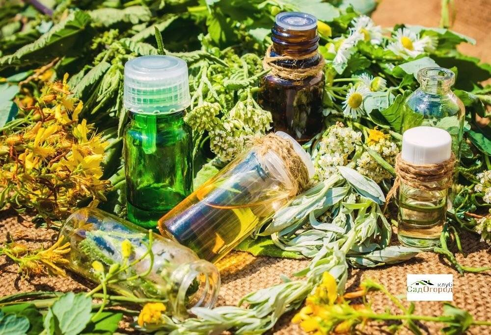 ИЗ НЕРАСТИТЕЛЬНОГО СЫРЬЯ